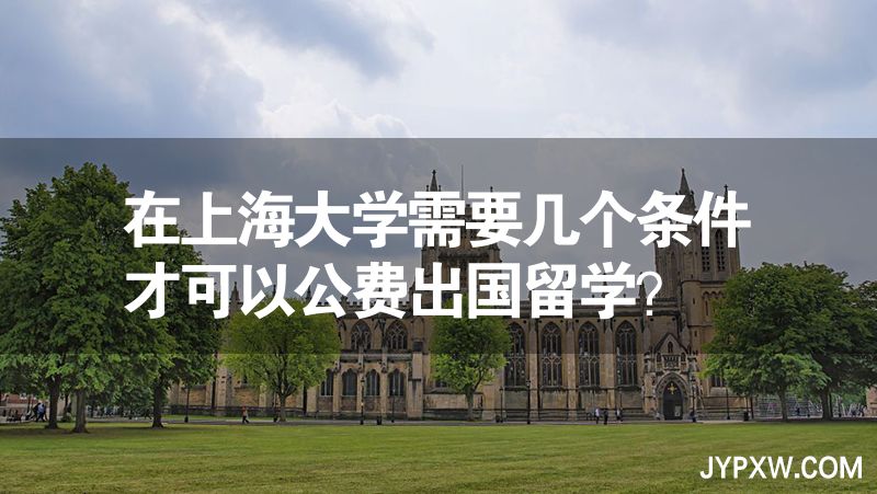 在上海大学需要几个条件才可以公费出国留学？