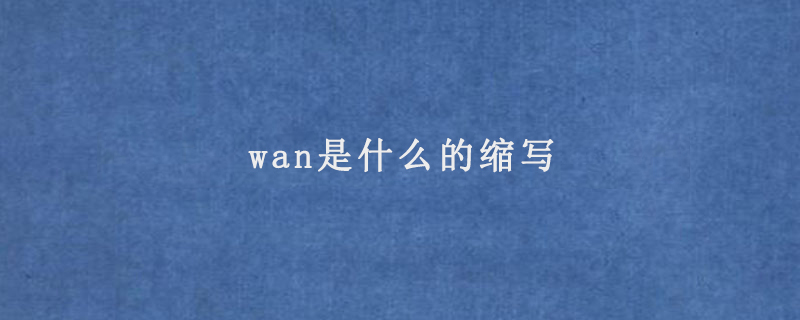 wan是什么的缩写