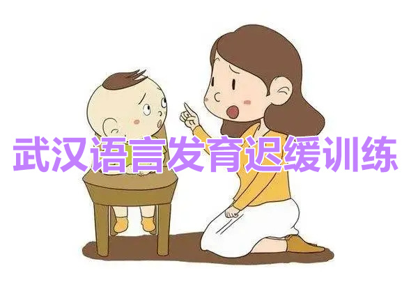 武汉汉阳区语言发育迟缓口肌训练课